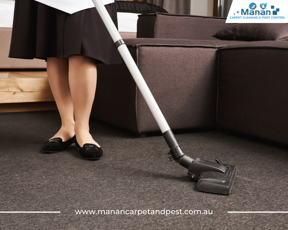 Carpet Cleaning Services Griffith